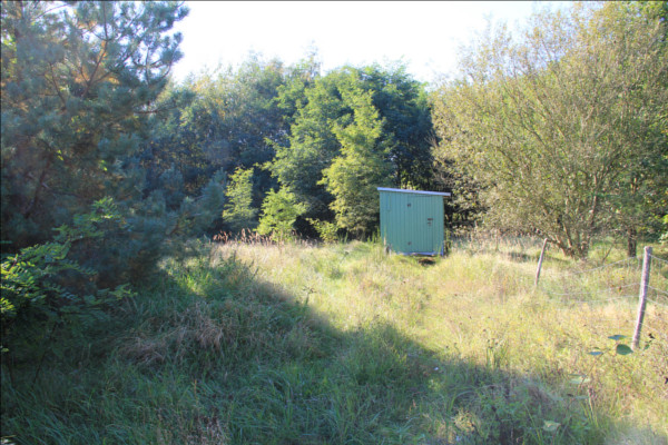 Sukzessionsfläche mit Bienenwagen